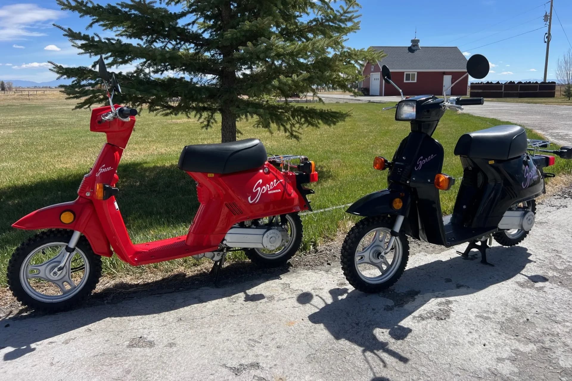 No Reserve: Pair of 1985 Honda Spree Scooters